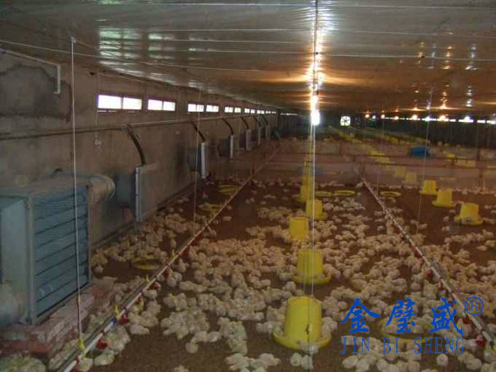 ���L�t��ů