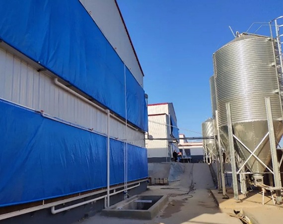 �������d�B(y��ng)ֳ