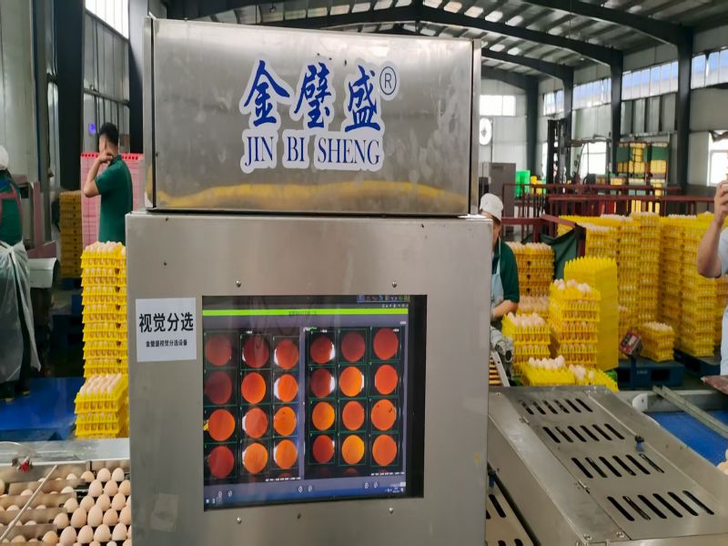 AI����ҕ�X�z�y