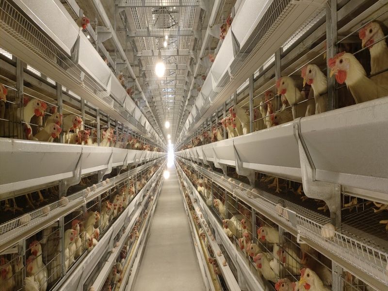 5��8�ӆΗ�ʮ�f���u�\