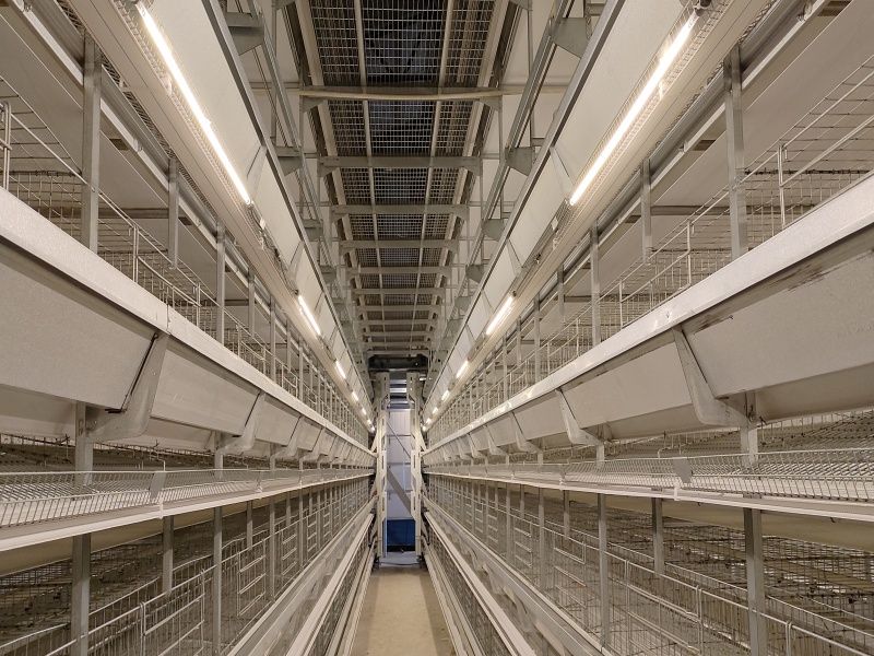 5��12�ӆΗ�15�f